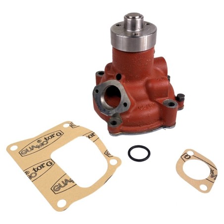Pompa acqua per trattore Fiat CNH t/12475 in offerta
